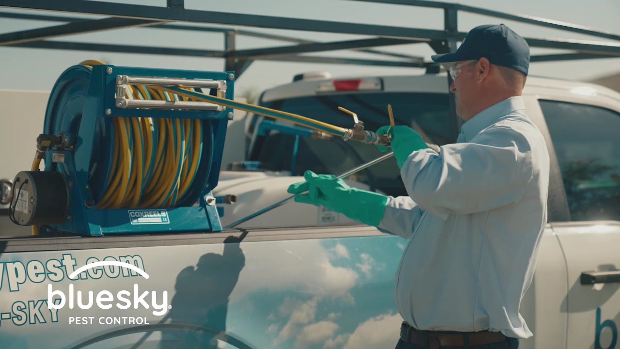 Blue Sky Pest Control project