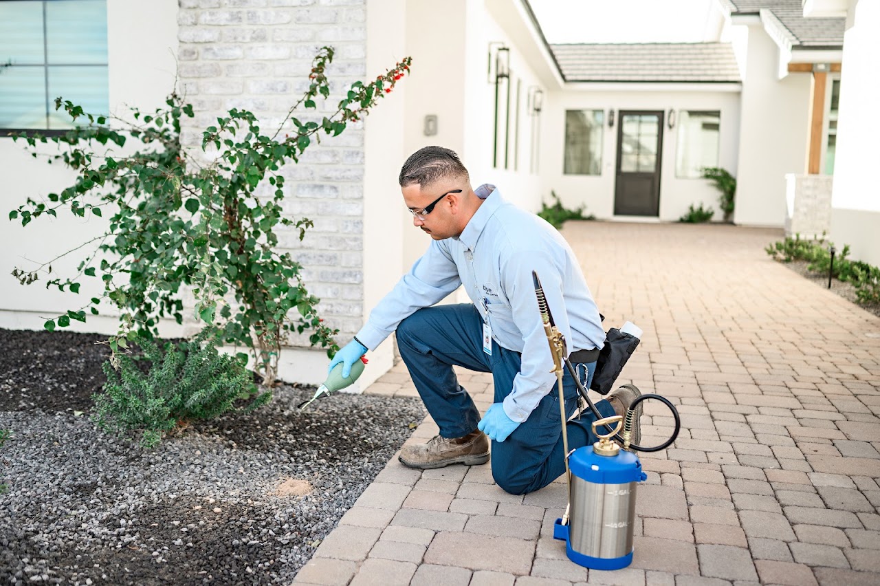 Blue Sky Pest Control project